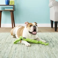 ROGZ by KONG Scrubz Dog Toy, Color Varies 10 ROGZ by KONG Scrubz Dog Toy, Color Varies -KONG Toys Shop 129714 PT2. SY630 V1545249178