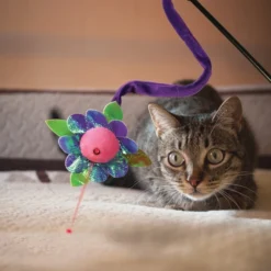 KONG Laser Teaser Cat Toy 9 KONG Laser Teaser Cat Toy -KONG Toys Shop 143207 PT2. SY630 V1631762885