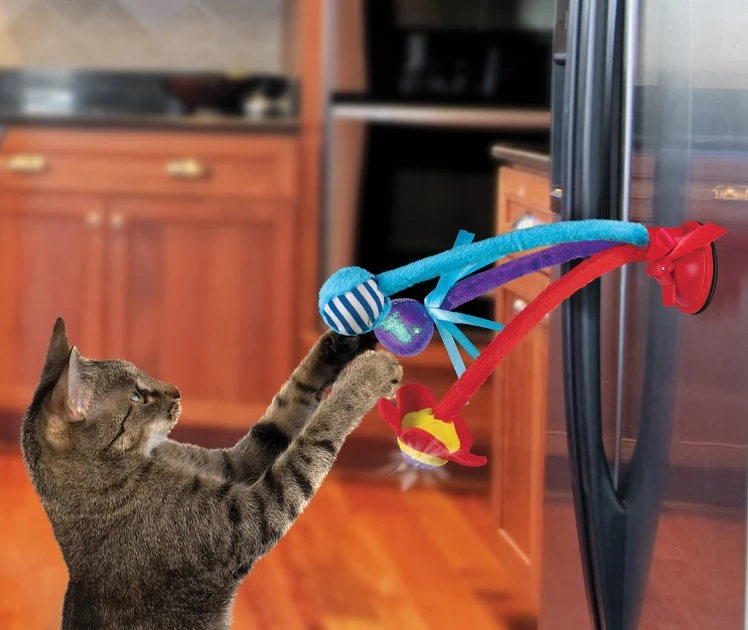 KONG Connects Bat 'N Spring Cat Toy 6 KONG Connects Bat 'N Spring Cat Toy - Image 4