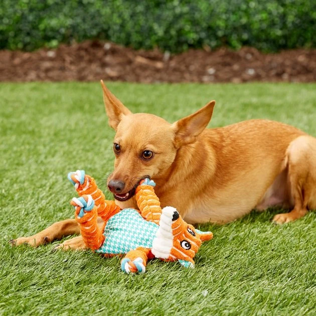 KONG Floppy Knots Dog Toy, Fox 4 KONG Floppy Knots Dog Toy, Fox - Image 2