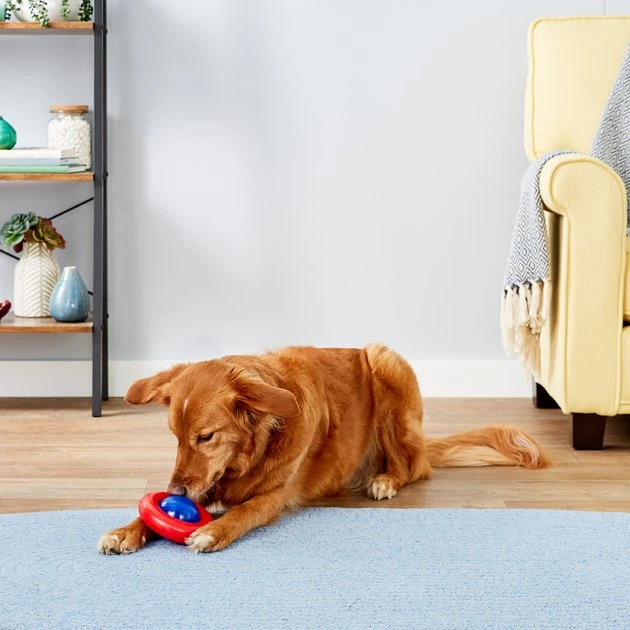 KONG Gyro Dog Toy 4 KONG Gyro Dog Toy - Image 2