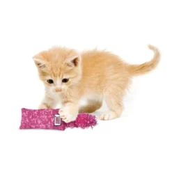 KONG Kickeroo Kitten Toy, Color Varies 10 KONG Kickeroo Kitten Toy, Color Varies -KONG Toys Shop 154026 PT2. SY630 V1539711429