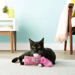 KONG Kickeroo Kitten Toy, Color Varies 11 KONG Kickeroo Kitten Toy, Color Varies -KONG Toys Shop 154026 PT3. SY630 V1605343918