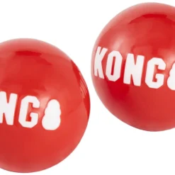 KONG Signature Balls Dog Toy, 2-pack