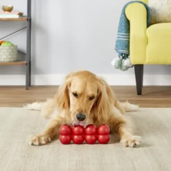 KONG Goodie Ribbon Dog Toy 10 KONG Goodie Ribbon Dog Toy -KONG Toys Shop 161865 PT3. SY630 V1605316635