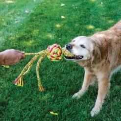KONG Wubba Weaves with Rope Dog Toy, Color Varies 8 KONG Wubba Weaves with Rope Dog Toy, Color Varies -KONG Toys Shop 161873 PT2. SY630 V1552941190
