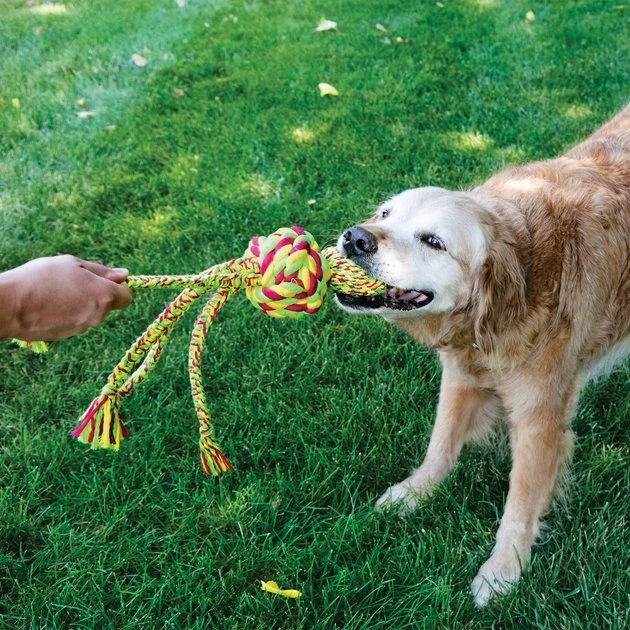 KONG Wubba Weaves with Rope Dog Toy, Color Varies 5 KONG Wubba Weaves with Rope Dog Toy, Color Varies - Image 3