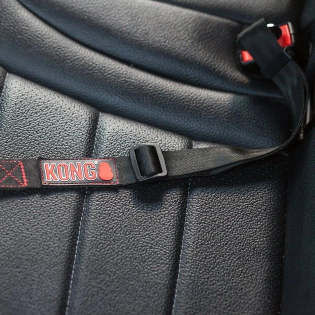 KONG Seat Belt Dog Tether 6 KONG Seat Belt Dog Tether - Image 4