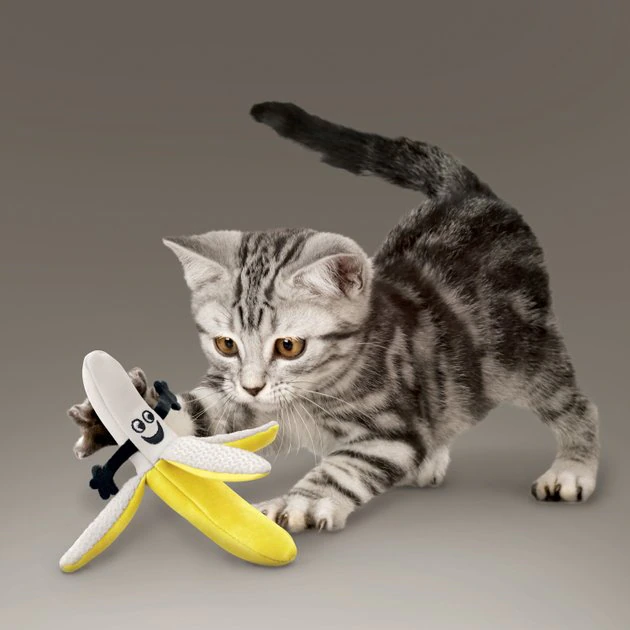 KONG Better Buzz Banana Cat Toy 5 KONG Better Buzz Banana Cat Toy - Image 3