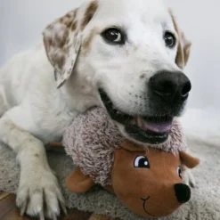 KONG Comfort HedgeHug Dog Toy 8 KONG Comfort HedgeHug Dog Toy -KONG Toys Shop 209793 PT2. SY630 V1575300234