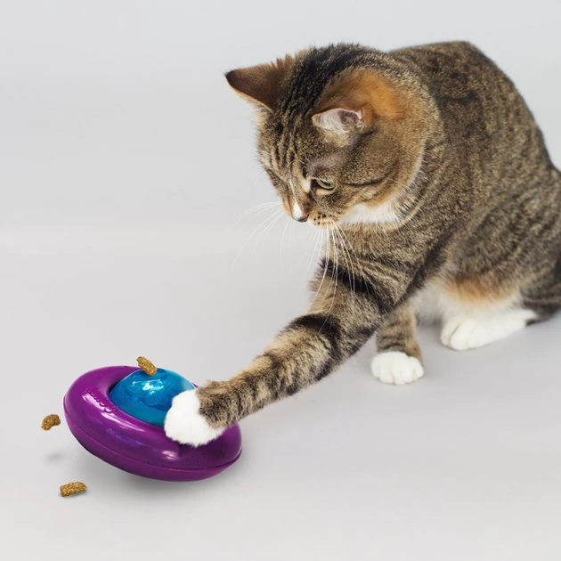 KONG Infused Cat Gyro Cat Toy 5 KONG Infused Cat Gyro Cat Toy - Image 3