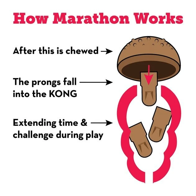 KONG Marathon Peanut Butter Recipe Grain-Free Dog Chew Large Treats 8 KONG Marathon Peanut Butter Recipe Grain-Free Dog Chew Large Treats - Image 6