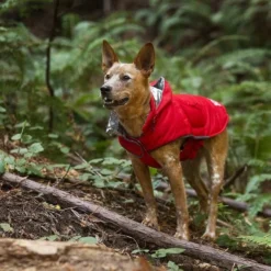 KONG Extreme Thermal Insulated Dog Parka, Red 10 KONG Extreme Thermal Insulated Dog Parka, Red -KONG Toys Shop 229393 PT4. SY630 V1599831661