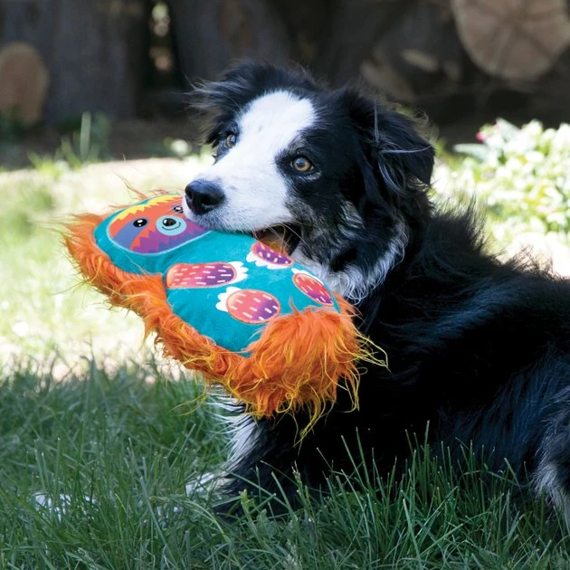 KONG Roughskinz Suedez Bear Squeaky Dog Toy 5 KONG Roughskinz Suedez Bear Squeaky Dog Toy - Image 3