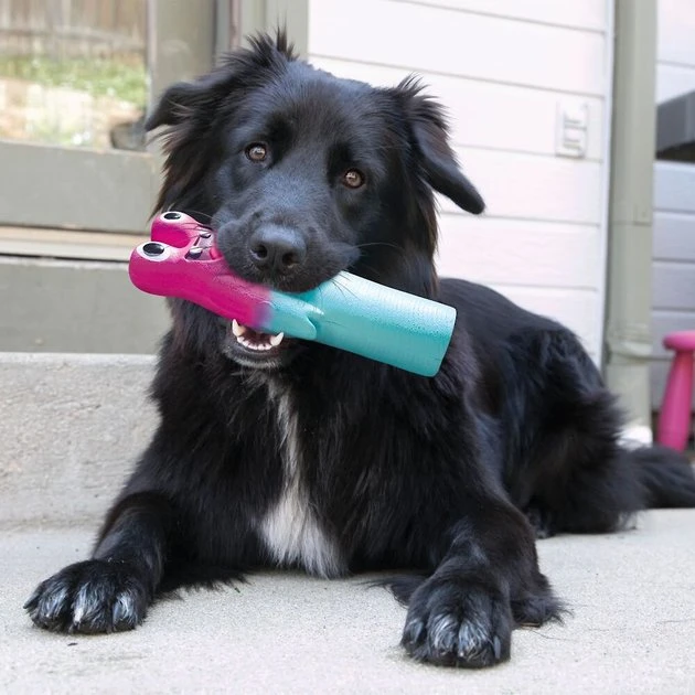 KONG Wiggi Goofz Squeaky Dog Toy, Character Varies 4 KONG Wiggi Goofz Squeaky Dog Toy, Character Varies - Image 2