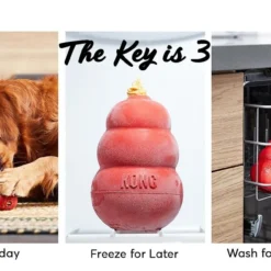 KONG Classic Dog Toy & KONG Stuff'N Easy Treat Peanut Butter Recipe -KONG Toys Shop 255669 PT2. SY630 V1604060500