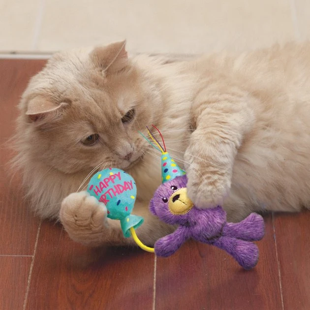 KONG Cat Occasions Birthday Teddy Plush Cat Toy with Catnip 6 KONG Cat Occasions Birthday Teddy Plush Cat Toy with Catnip - Image 4