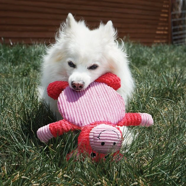 KONG Low Stuff Crackle Tummiez Frog Squeaky Plush Dog Toy, Large 5 KONG Low Stuff Crackle Tummiez Frog Squeaky Plush Dog Toy, Large - Image 3