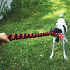 KONG Signature Dual Knot Tug Rope Dog Toy -KONG Toys Shop 262992 PT2. SY630 V1611090901