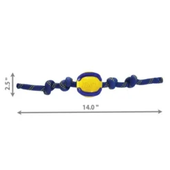 KONG Jaxx Brights Ball Rope Dog Toy 7 KONG Jaxx Brights Ball Rope Dog Toy -KONG Toys Shop 265784 PT1. SY630 V1611792678
