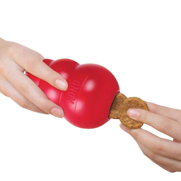 KONG Jerky Chicken Recipe Grain-Free Dog Medium/Large Treats, 5-oz pouch 4 KONG Jerky Chicken Recipe Grain-Free Dog Medium/Large Treats, 5-oz pouch - Image 2