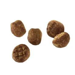 KONG Meatballs Grain-Free Chicken Dog Treats, 4-oz bag -KONG Toys Shop 295098 PT2. SY630 V1623134868