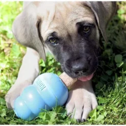 KONG Puppy Activity Ball Dog Toy, Color Varies, Small + KONG Stuff'N Puppy Ziggies Dog Treats, Small, 12 count 19 KONG Puppy Activity Ball Dog Toy, Color Varies, Small + KONG Stuff'N Puppy Ziggies Dog Treats, Small, 12 count -KONG Toys Shop 298188 PT8. SY630 V1621303337