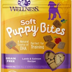 KONG||Wellness KONG Puppy Flyer Dog Toy, Color Varies + Wellness Soft Puppy Bites Lamb & Salmon Recipe Grain-Free Dog Treats, 3-oz pouch 15 KONG||Wellness KONG Puppy Flyer Dog Toy, Color Varies + Wellness Soft Puppy Bites Lamb & Salmon Recipe Grain-Free Dog Treats, 3-oz pouch -KONG Toys Shop 298190 PT5. SY630 V1623193942