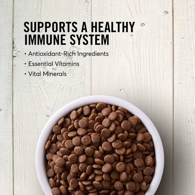 American Journey||KONG American Journey Senior Chicken & Sweet Potato Recipe Grain-Free Dry Food + KONG Senior Dog Toy, Large 6 American Journey||KONG American Journey Senior Chicken & Sweet Potato Recipe Grain-Free Dry Food + KONG Senior Dog Toy, Large - Image 4