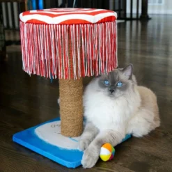 KONG Play Spaces CATbana Toy + Kickeroo Cuddler Cat Toy, Color Varies 14 KONG Play Spaces CATbana Toy + Kickeroo Cuddler Cat Toy, Color Varies -KONG Toys Shop 319530 PT4. SY630 V1630628823