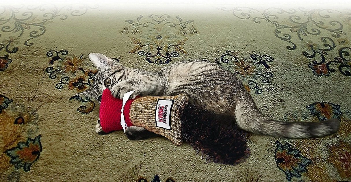 KONG Play Spaces CATbana Toy + Kickeroo Cuddler Cat Toy, Color Varies 10 KONG Play Spaces CATbana Toy + Kickeroo Cuddler Cat Toy, Color Varies - Image 8