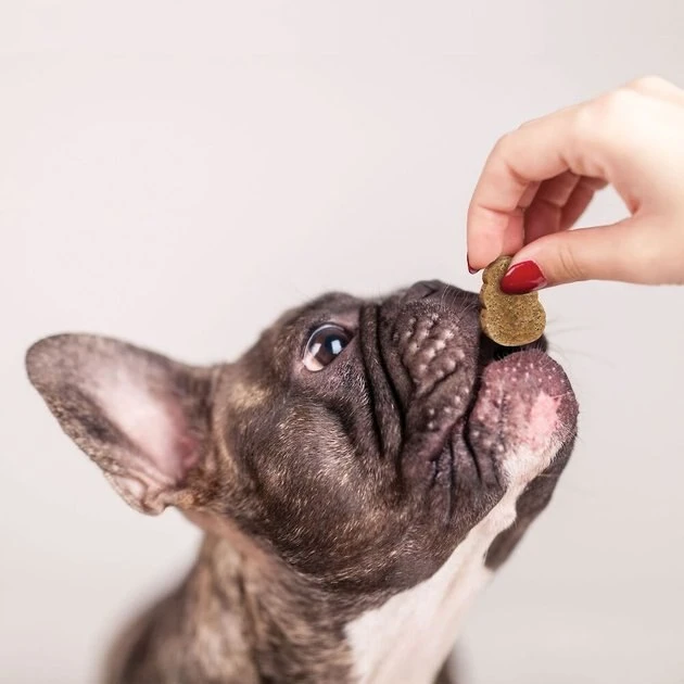 KONG Skin & Coat Soft & Chewy Dog Treats 4 KONG Skin & Coat Soft & Chewy Dog Treats - Image 2