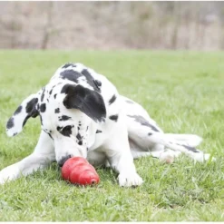 KONG Stuff'N Real Peanut Butter Dog Treat 13 KONG Stuff'N Real Peanut Butter Dog Treat -KONG Toys Shop 337388 PT5. SY630 V1635374477