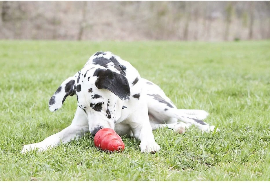 KONG Stuff'N Real Peanut Butter Dog Treat 8 KONG Stuff'N Real Peanut Butter Dog Treat - Image 6