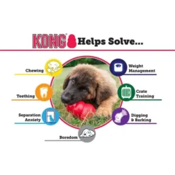 KONG Classic Dog Toy -KONG Toys Shop 53350 PT3. SY630 V1603163183