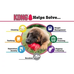 KONG Senior Dog Toy 12 KONG Senior Dog Toy -KONG Toys Shop 53363 PT3. SY630 V1603158993