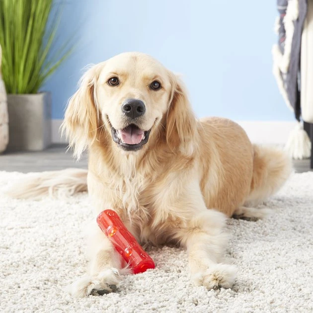 KONG Squeezz Stick Dog Toy, Color Varies 7 KONG Squeezz Stick Dog Toy, Color Varies - Image 5