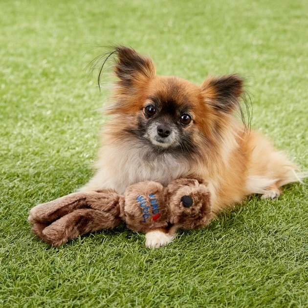 KONG Wubba Friend Dog Toy, Character Varies 7 KONG Wubba Friend Dog Toy, Character Varies - Image 5