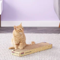 KONG Naturals Cat Scratcher 13 KONG Naturals Cat Scratcher -KONG Toys Shop 53515 PT6. SY630 V1603161987