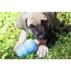 KONG Stuff'N Puppy Ziggies Dog Treats 12 KONG Stuff'N Puppy Ziggies Dog Treats -KONG Toys Shop 53844 PT4. SY630 V1605325306