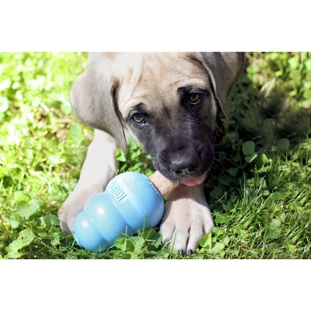 KONG Stuff'N Puppy Ziggies Dog Treats 7 KONG Stuff'N Puppy Ziggies Dog Treats - Image 5