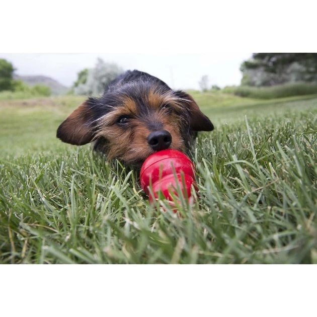 KONG Stuff'N Easy Treat Pepperoni Recipe 6 KONG Stuff'N Easy Treat Pepperoni Recipe - Image 4