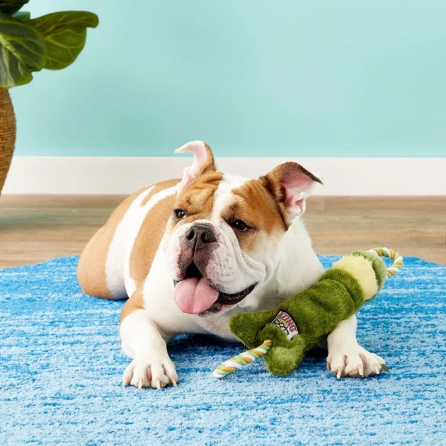 KONG Tuggerknots Frog Dog Toy 6 KONG Tuggerknots Frog Dog Toy - Image 4