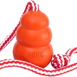 KONG Aqua Dog Toy