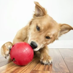 KONG Classic Biscuit Ball Dog Toy -KONG Toys Shop 59149 PT4. SY630 V1603166792