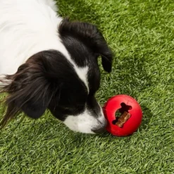 KONG Classic Biscuit Ball Dog Toy -KONG Toys Shop 59149 PT5. SY630 V1603160486