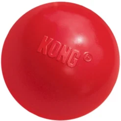 KONG Ball Dog Toy