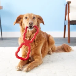 KONG Tug Dog Toy 9 KONG Tug Dog Toy -KONG Toys Shop 59156 PT1. SY630 V1534451915