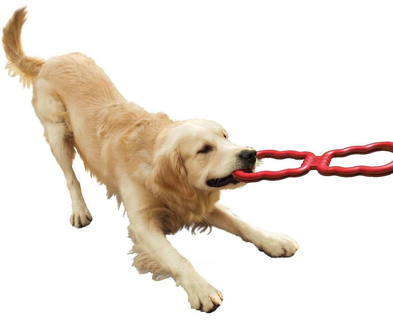 KONG Tug Dog Toy 6 KONG Tug Dog Toy - Image 4