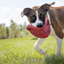 KONG Classic Flyer Dog Toy -KONG Toys Shop 59177 PT5. SY630 V1603157784